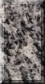 gallerie/thumbs_granit/tn_Serizzo Antigorio-W.jpg